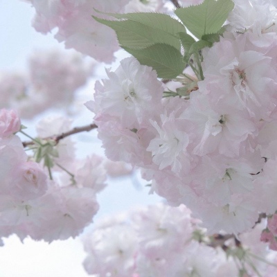 Furry插画氛围技巧FurryQQ群