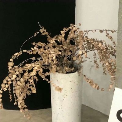 兽设萌新入门指南福瑞交流群